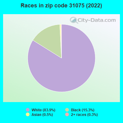 Races in zip code 31075 (2022)