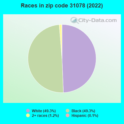 Races in zip code 31078 (2022)