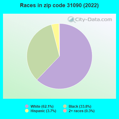 Races in zip code 31090 (2022)