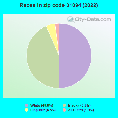 Races in zip code 31094 (2022)