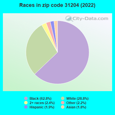 Races in zip code 31204 (2022)