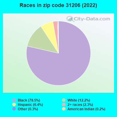 Races in zip code 31206 (2022)