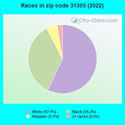 Races in zip code 31305 (2022)