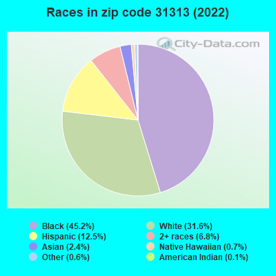Races in zip code 31313 (2022)