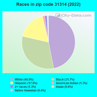 Races in zip code 31314 (2022)