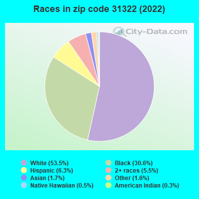 Races in zip code 31322 (2022)