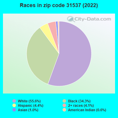 Races in zip code 31537 (2022)