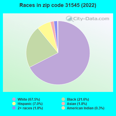 Races in zip code 31545 (2022)