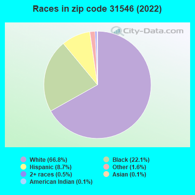 Races in zip code 31546 (2022)