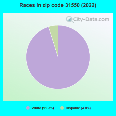 Races in zip code 31550 (2022)