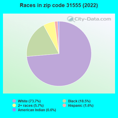 Races in zip code 31555 (2022)