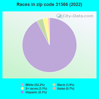 Races in zip code 31566 (2022)