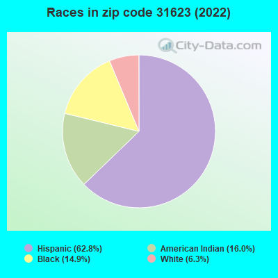 Races in zip code 31623 (2022)