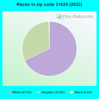 Races in zip code 31624 (2022)