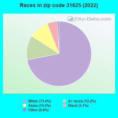 Races in zip code 31625 (2022)