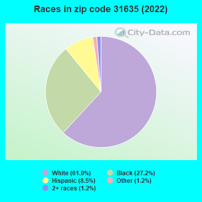 Races in zip code 31635 (2022)