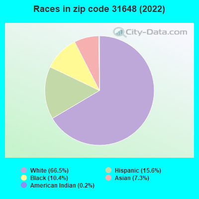 Races in zip code 31648 (2022)