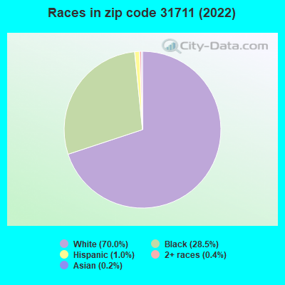 Races in zip code 31711 (2022)