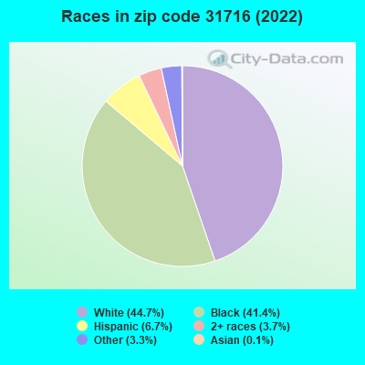 Races in zip code 31716 (2022)