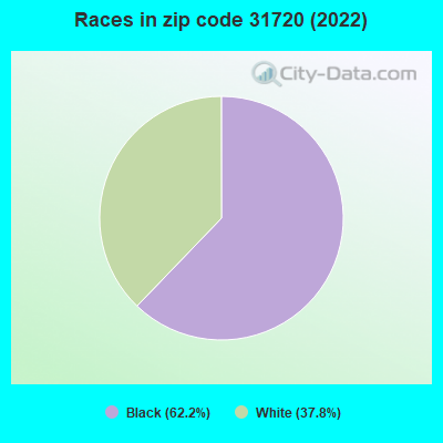 Races in zip code 31720 (2022)