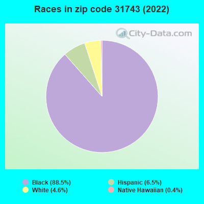 Races in zip code 31743 (2022)