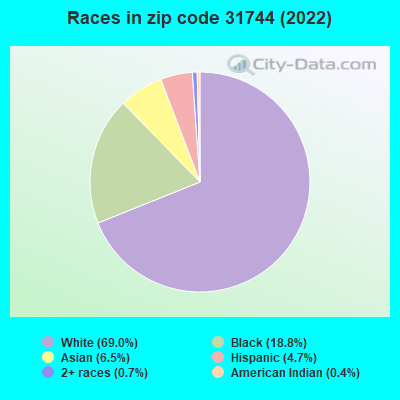 Races in zip code 31744 (2022)