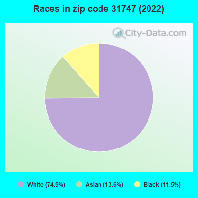 Races in zip code 31747 (2022)
