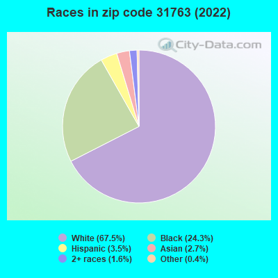 Races in zip code 31763 (2022)