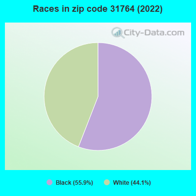 Races in zip code 31764 (2022)