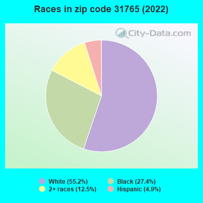 Races in zip code 31765 (2022)