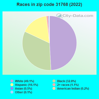 Races in zip code 31768 (2022)