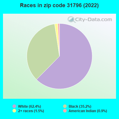 Races in zip code 31796 (2022)