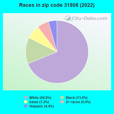 Races in zip code 31808 (2022)