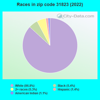 Races in zip code 31823 (2022)