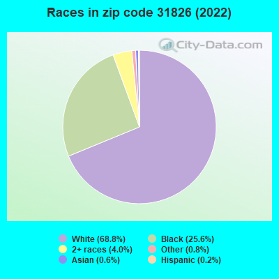 Races in zip code 31826 (2022)
