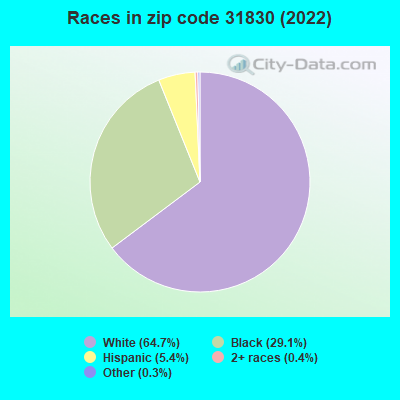 Races in zip code 31830 (2022)