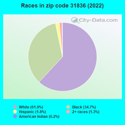 Races in zip code 31836 (2022)