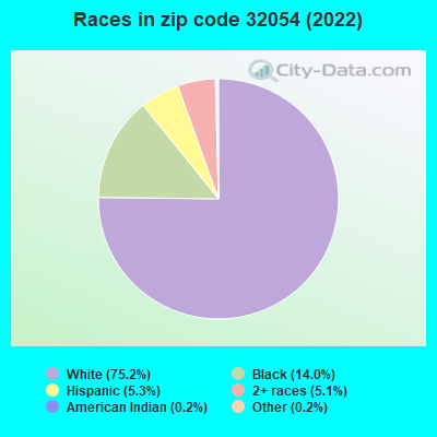 Races in zip code 32054 (2022)