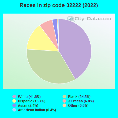 Races in zip code 32222 (2022)
