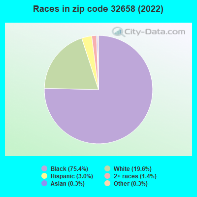 Races in zip code 32658 (2022)