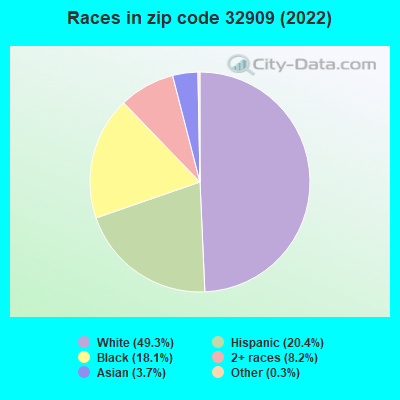 Races in zip code 32909 (2022)