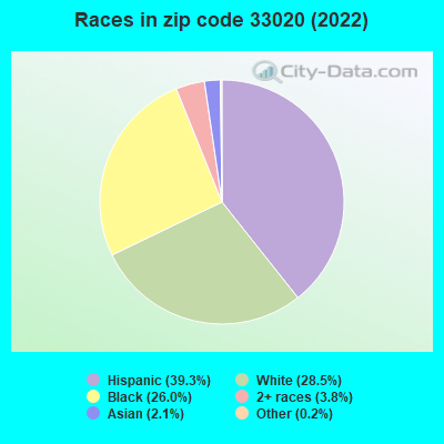 Races in zip code 33020 (2022)