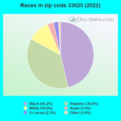 Races in zip code 33025 (2022)