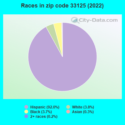 Races in zip code 33125 (2022)