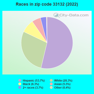 Races in zip code 33132 (2022)
