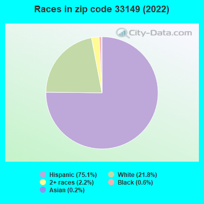 Races in zip code 33149 (2022)