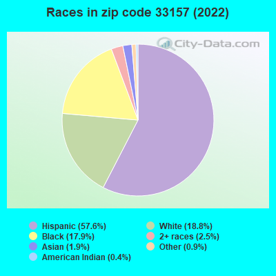 Races in zip code 33157 (2022)