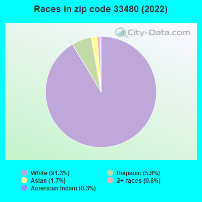 Races in zip code 33480 (2022)