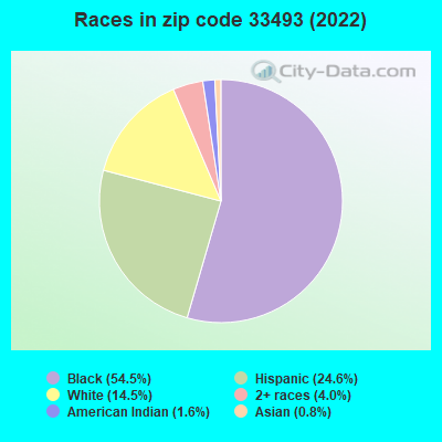 Races in zip code 33493 (2022)