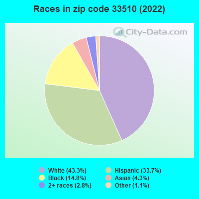 Races in zip code 33510 (2022)